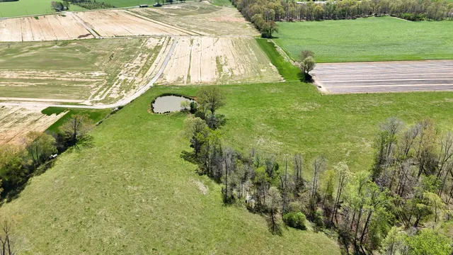 a view of a lush green forest with trees and some houses