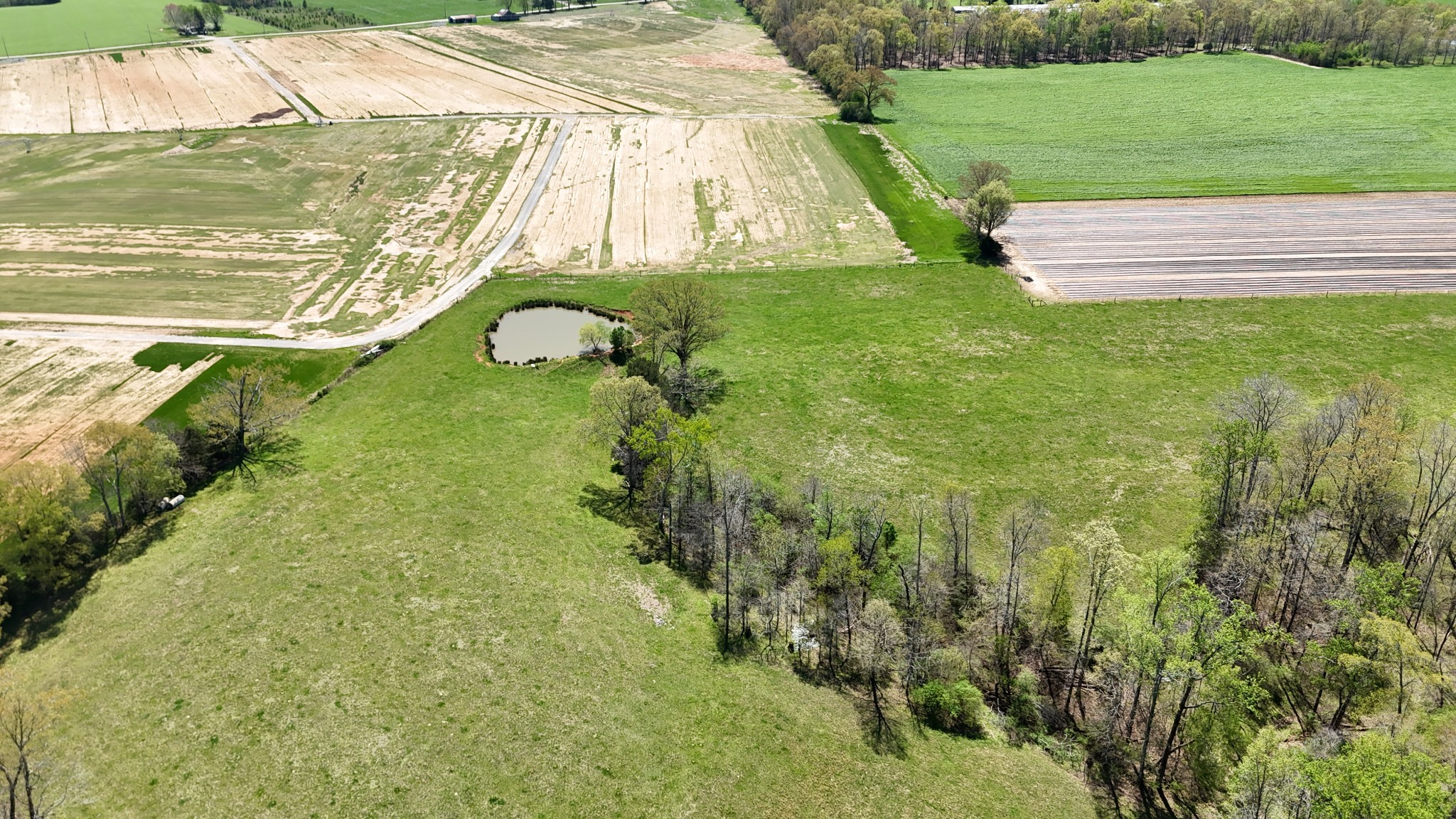 0 Neal Road Belvidere, TN 37306 - Photo 22 of 58 a view of a yard with an outdoor seating