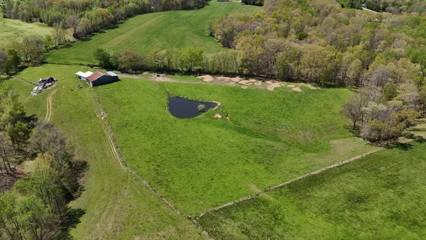 an aerial view of green landscape with trees all around