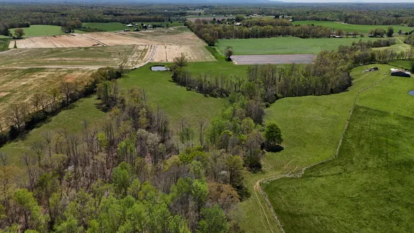 a view of a lush green forest with trees and some houses