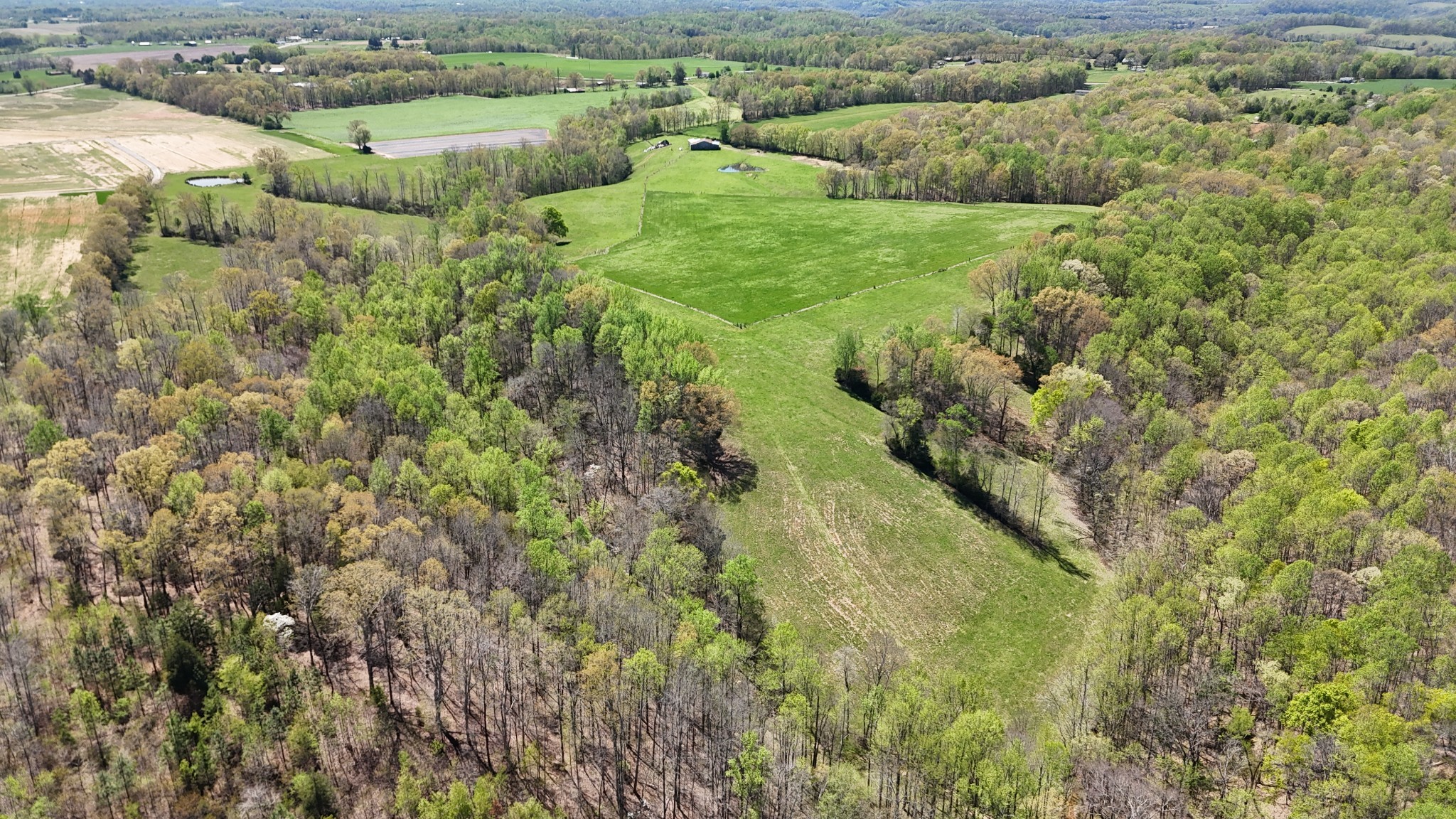 0 Neal Road Belvidere, TN 37306 - Photo 26 of 58 a view of a lush green forest with trees and some houses