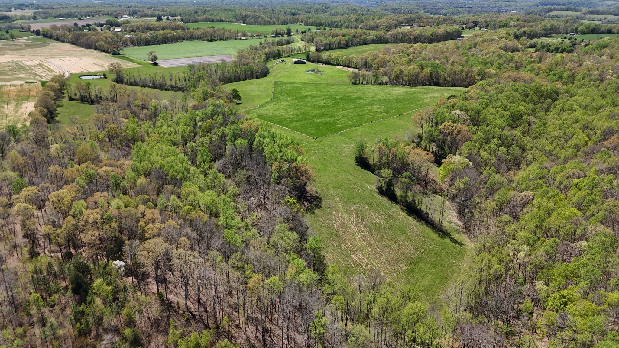 0 Neal Road Belvidere, TN 37306 - Photo 28 of 58 a view of a lush green forest with trees and some houses