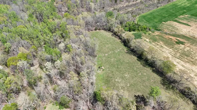 a view of a water pond with green space
