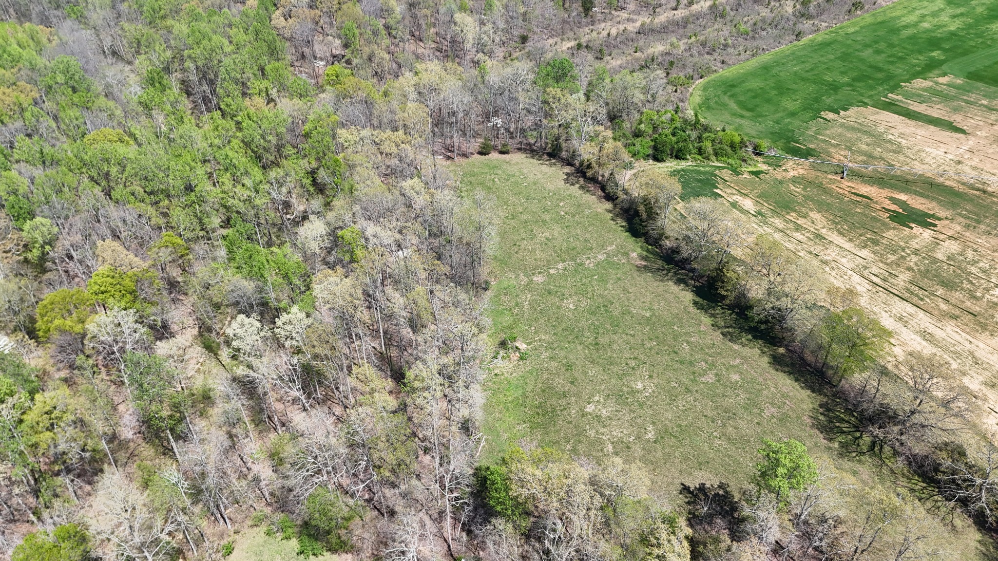 0 Neal Road Belvidere, TN 37306 - Photo 30 of 58 a view of a yard with plants and a bench