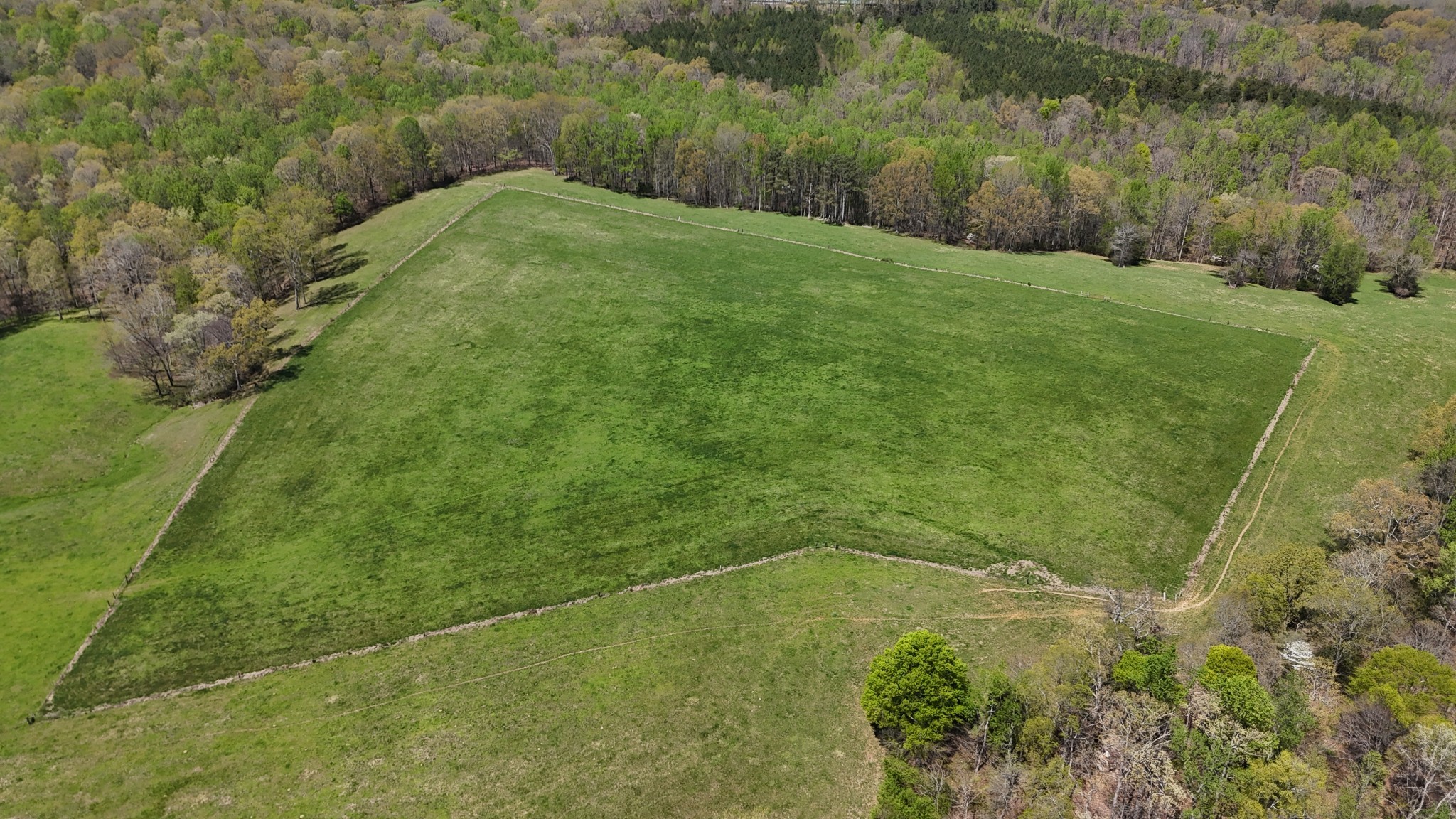 0 Neal Road Belvidere, TN 37306 - Photo 31 of 58