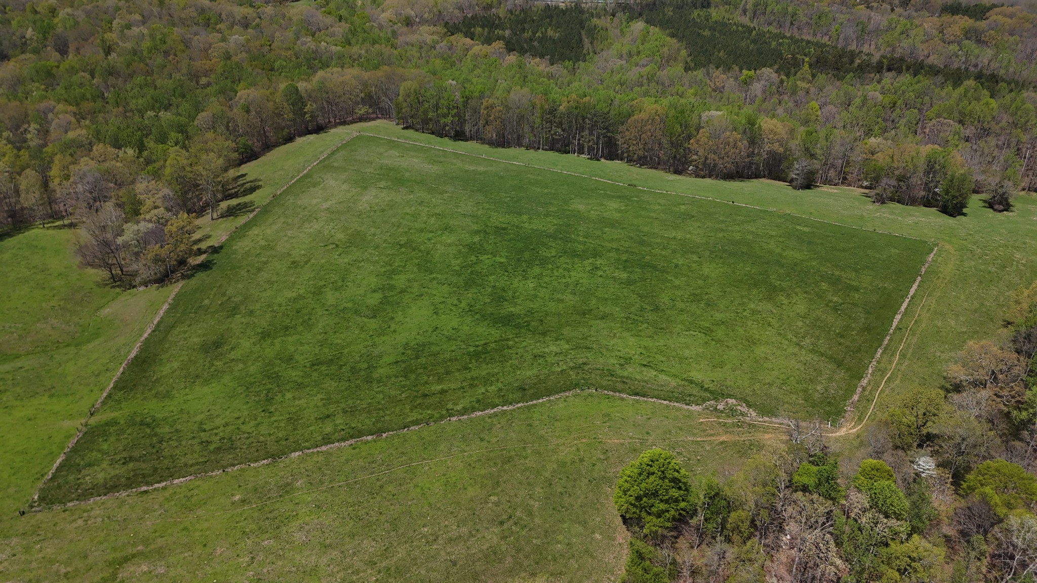0 Neal Road Belvidere, TN 37306 - Photo 32 of 58 a view of a back yard