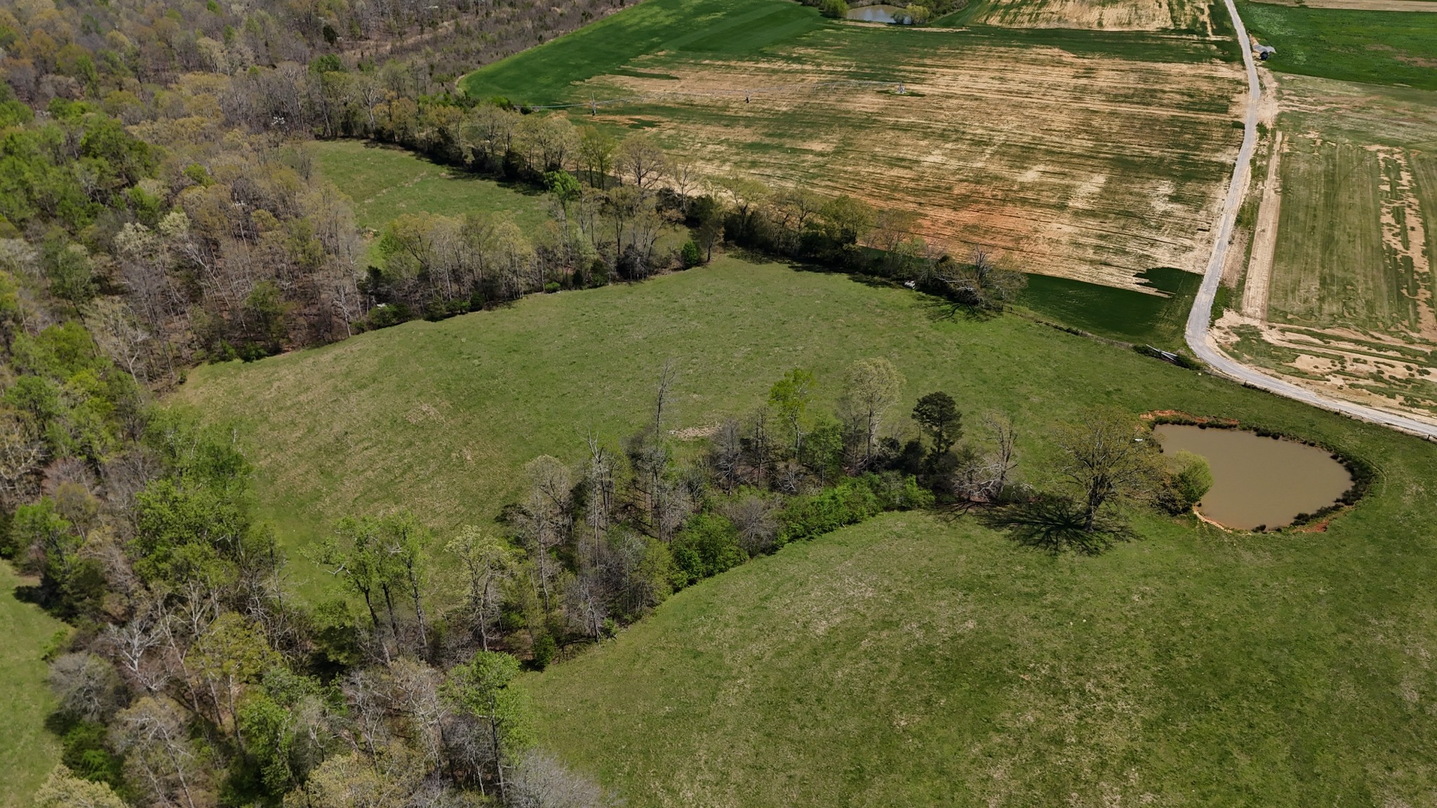 0 Neal Road Belvidere, TN 37306 - Photo 36 of 58 a view of a water pond with green field