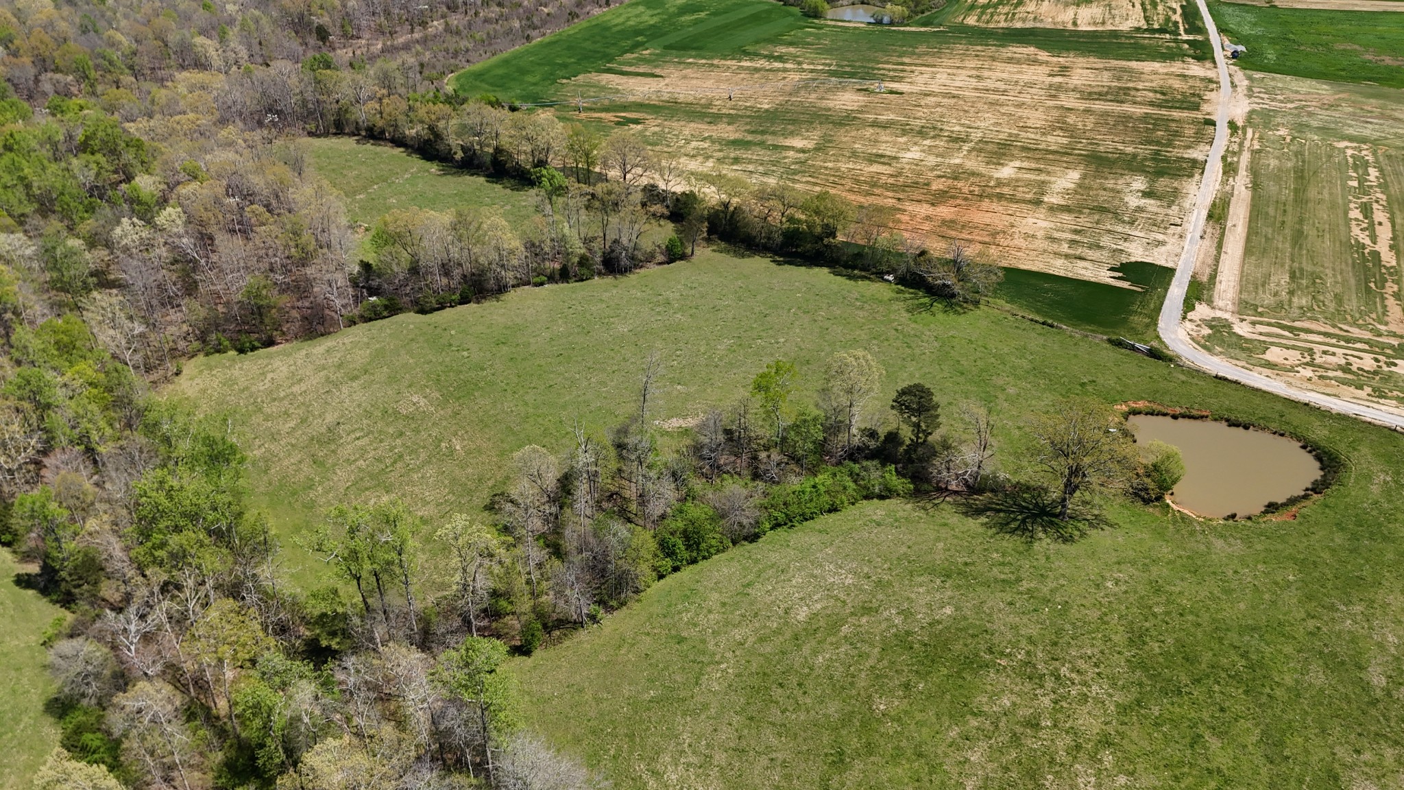 0 Neal Road Belvidere, TN 37306 - Photo 37 of 58 a view of a water pond with green field