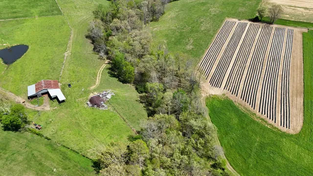 a backyard of a house with lots of green space and trees all around