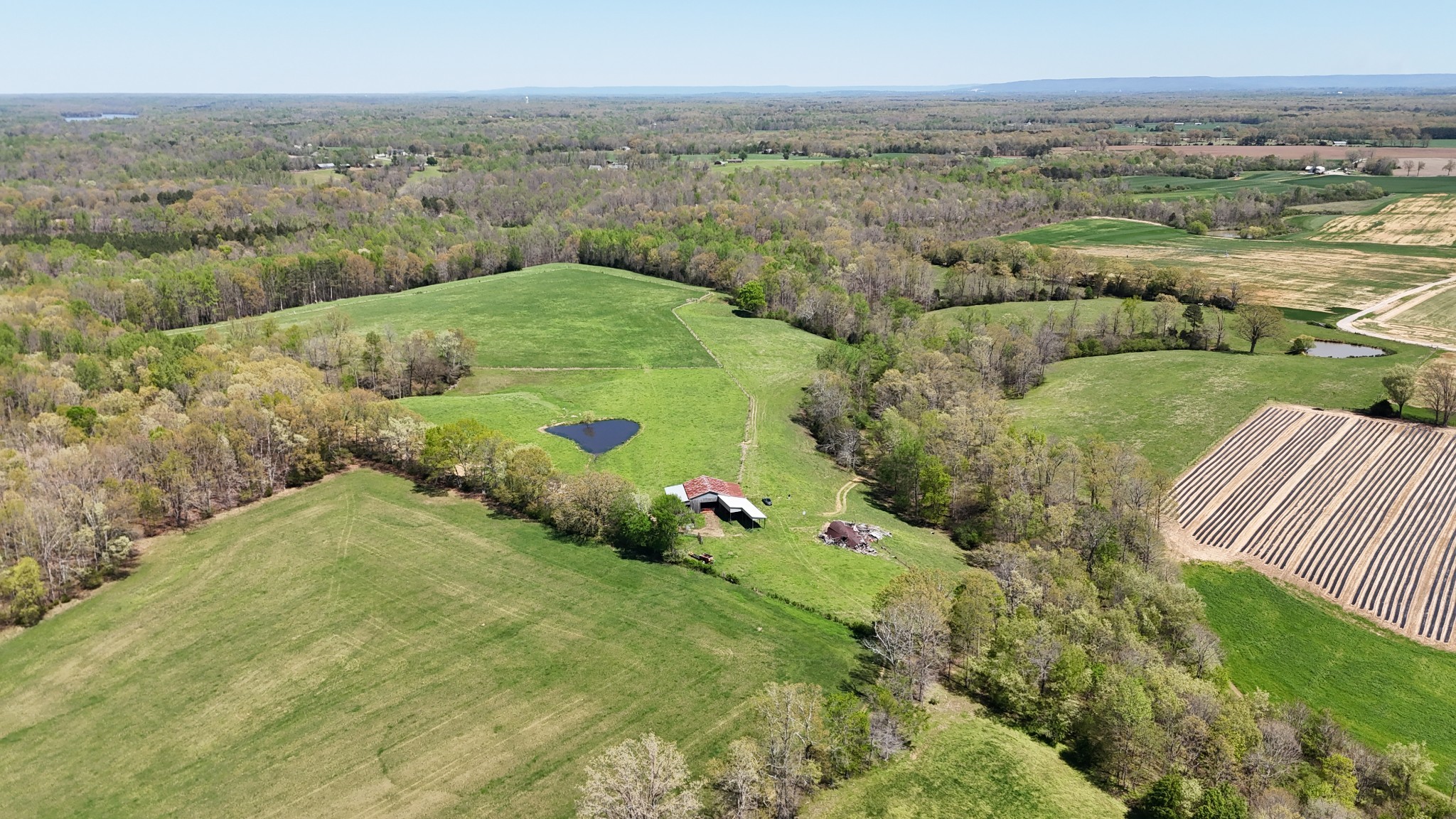 0 Neal Road Belvidere, TN 37306 - Photo 41 of 58 a view of a yard with an outdoor space