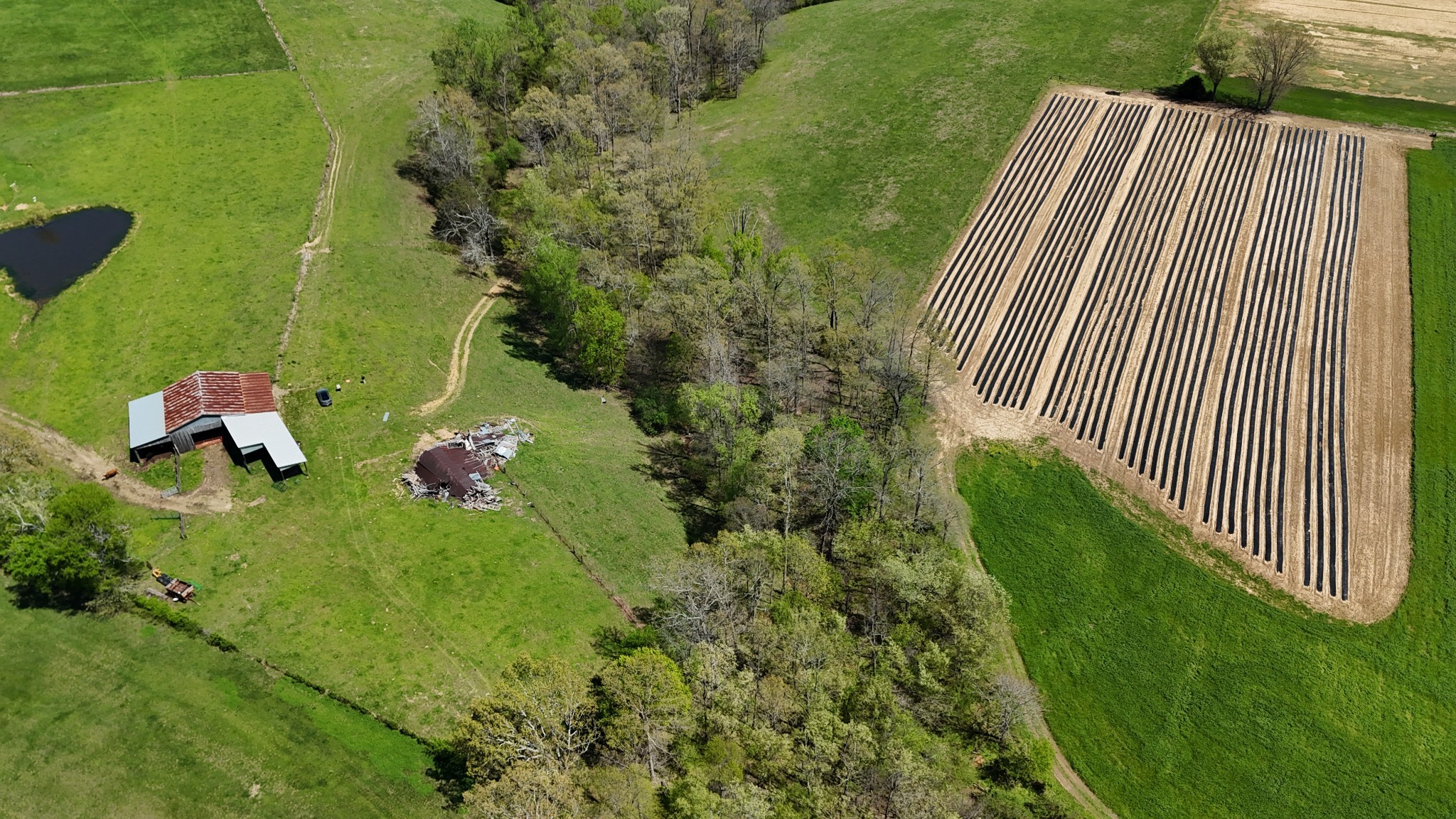 0 Neal Road Belvidere, TN 37306 - Photo 42 of 58 a backyard of a house with lots of green space and trees all around