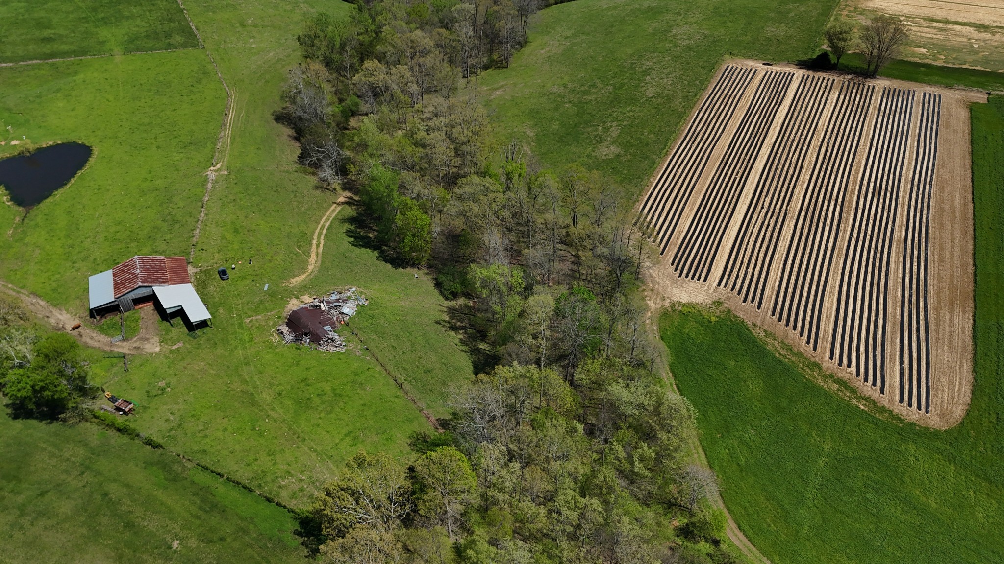 0 Neal Road Belvidere, TN 37306 - Photo 43 of 58 a backyard of a house with lots of green space and trees all around