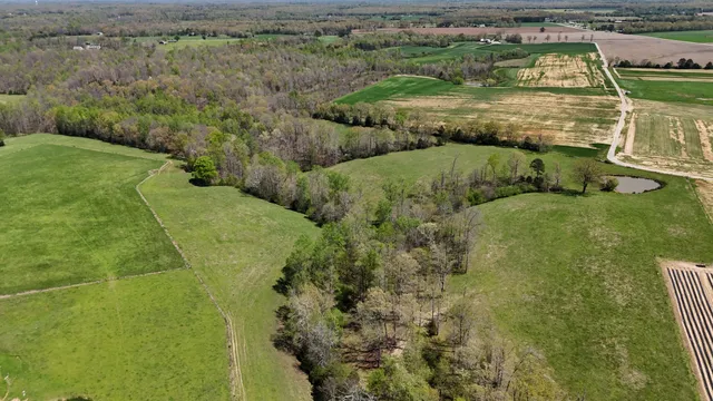 a view of a lake with a yard