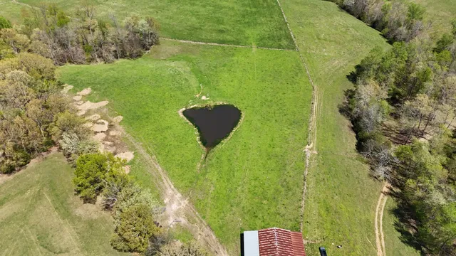 a lake view with a garden