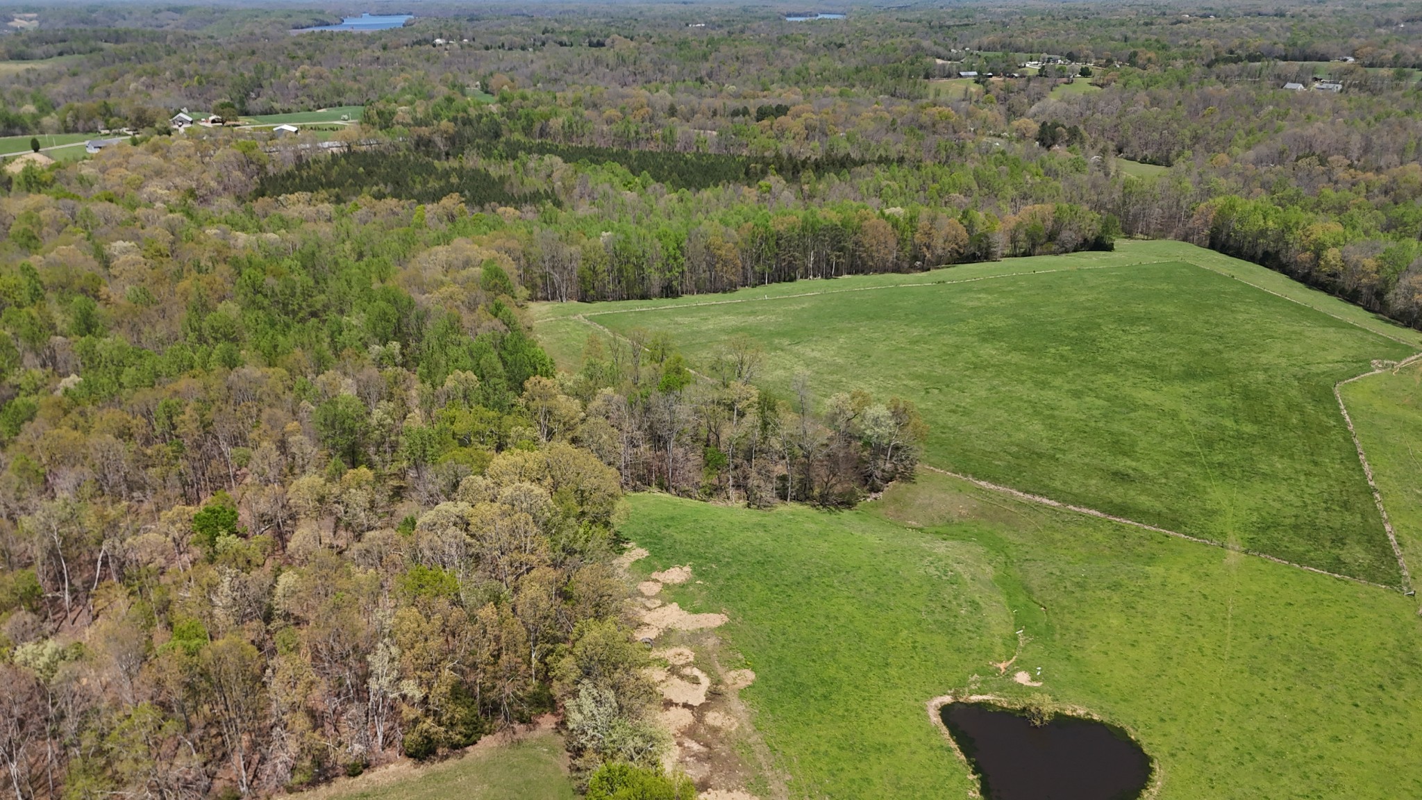 0 Neal Road Belvidere, TN 37306 - Photo 50 of 58