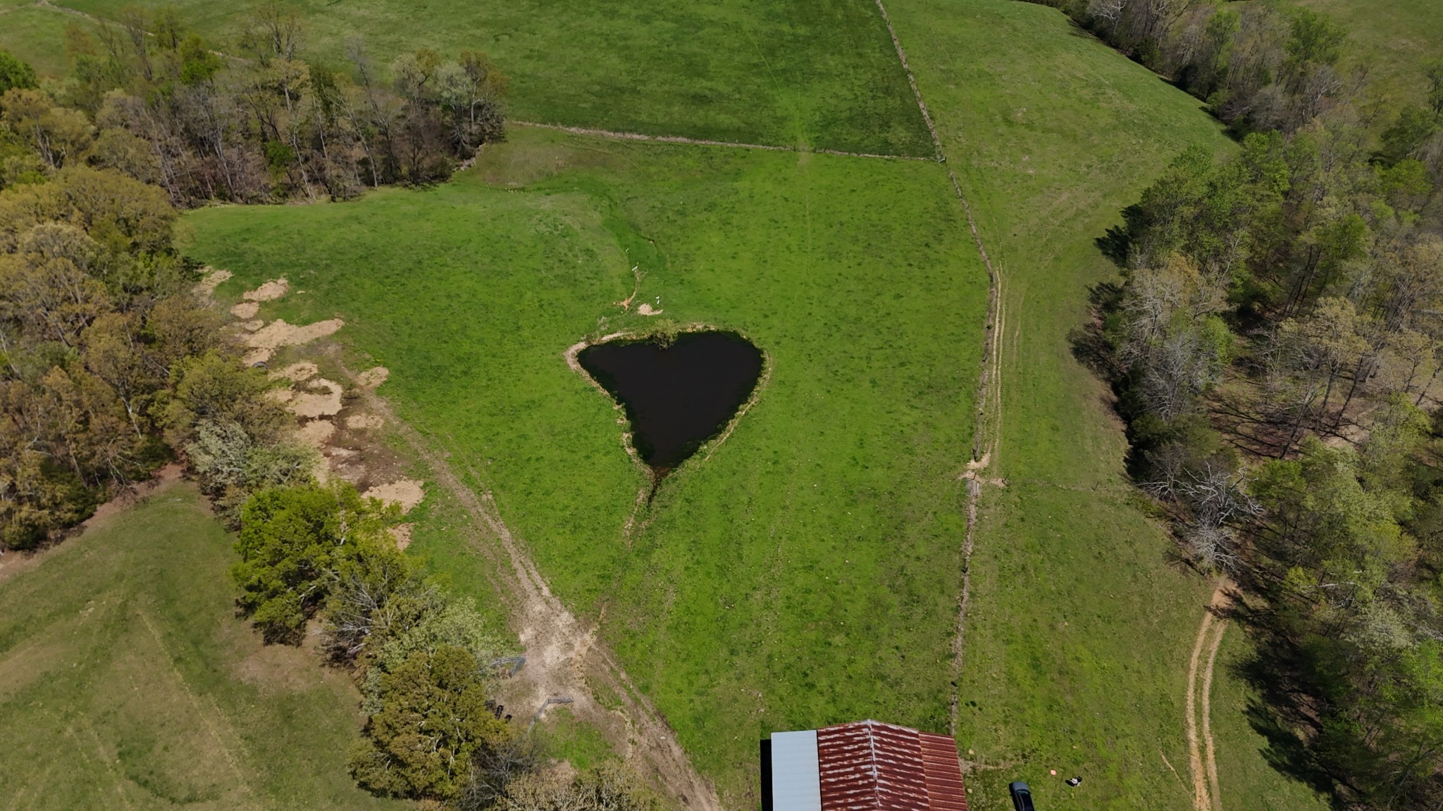 0 Neal Road Belvidere, TN 37306 - Photo 54 of 58 a view of a lake with a yard