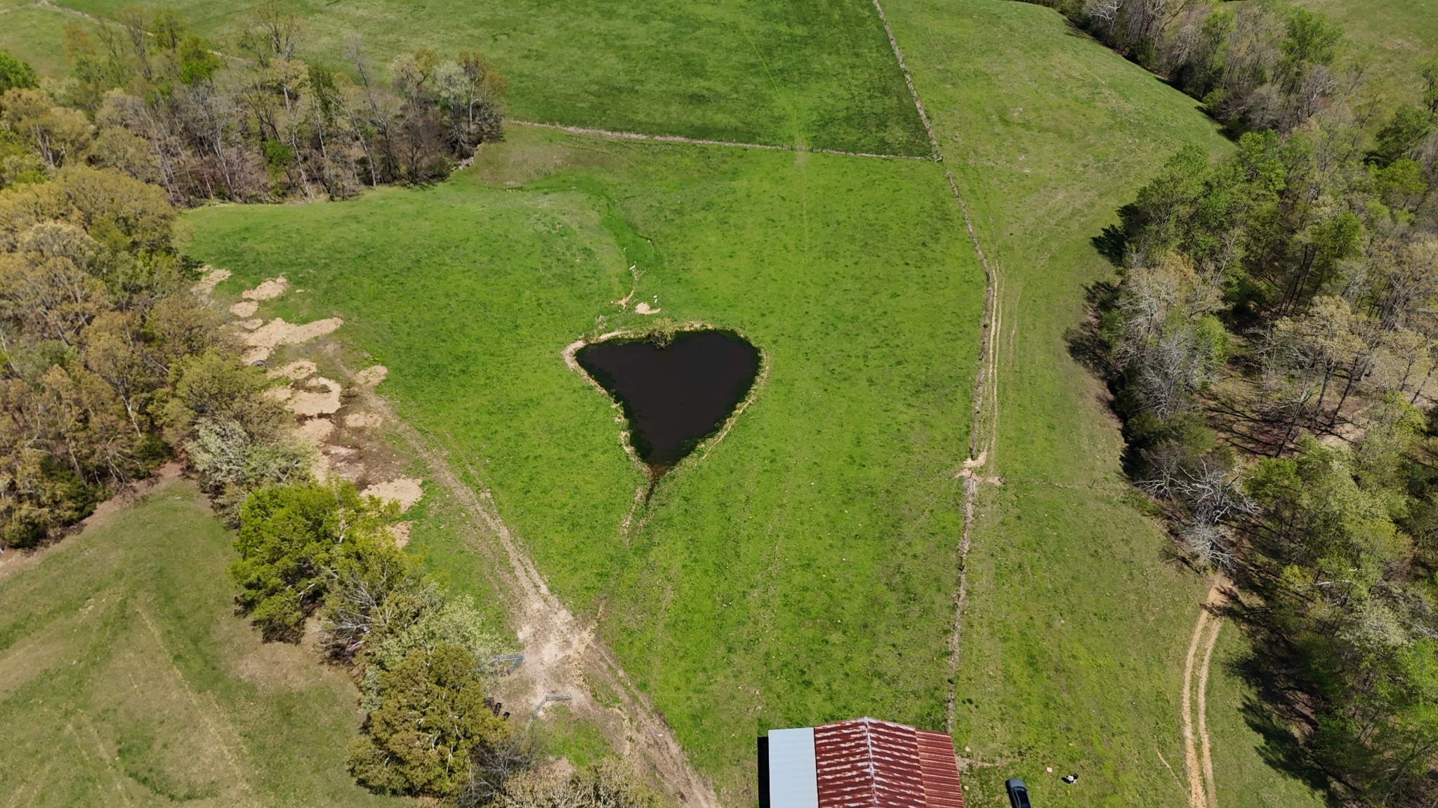 0 Neal Road Belvidere, TN 37306 - Photo 55 of 58 a view of a lake with a yard