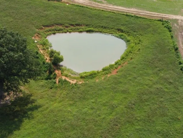 a view of a field with an ocean