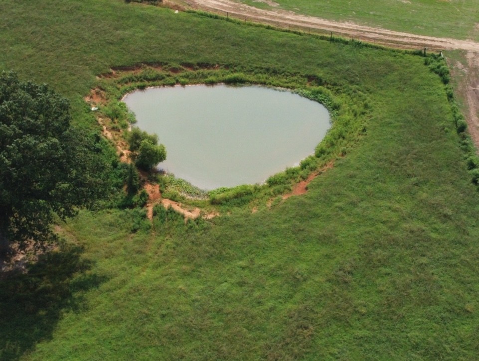 0 Neal Road Belvidere, TN 37306 - Photo 6 of 58