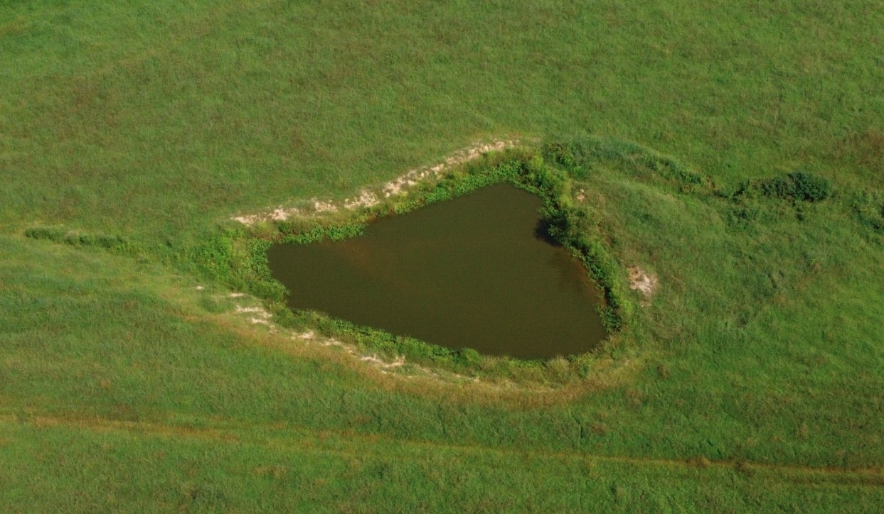 0 Neal Road Belvidere, TN 37306 - Photo 9 of 58 a view of a garden