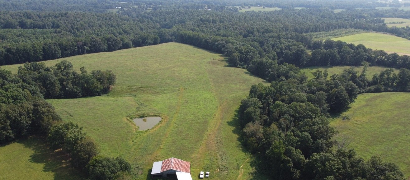0 Neal Road Belvidere, TN 37306 - Photo 10 of 58 a view of a yard