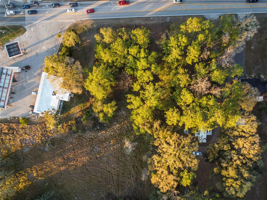 Powell Road Brooksville, FL 34604 - Photo 11 of 15 a view of a yard