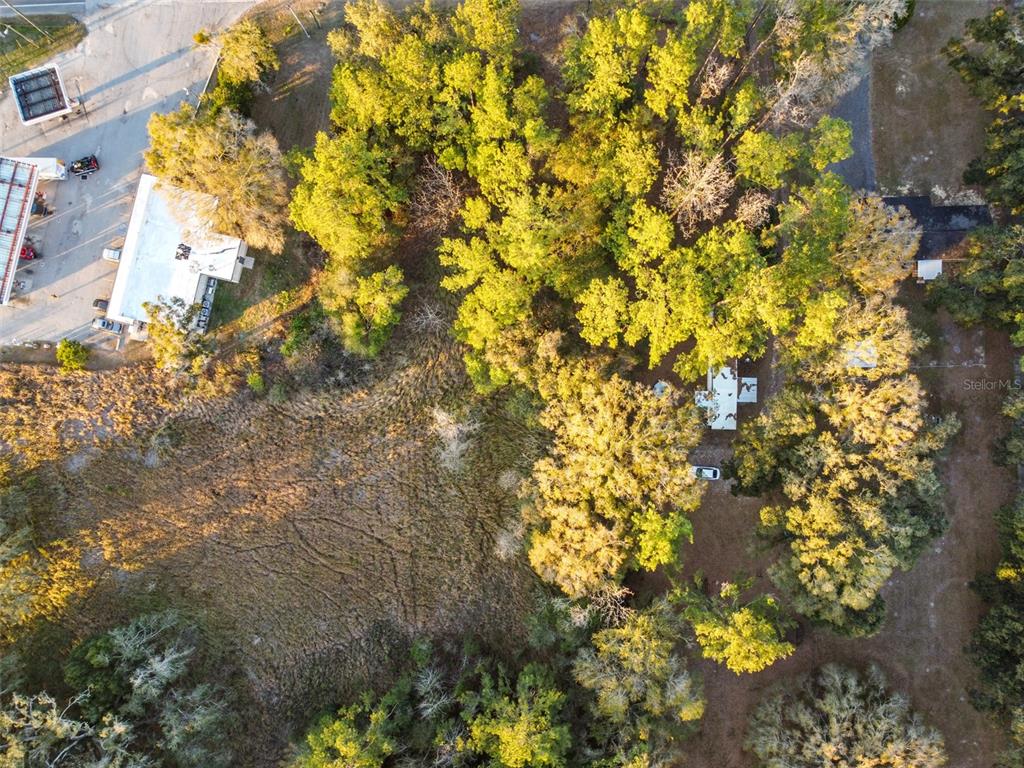 Powell Road Brooksville, FL 34604 - Photo 13 of 15 a view of a tree