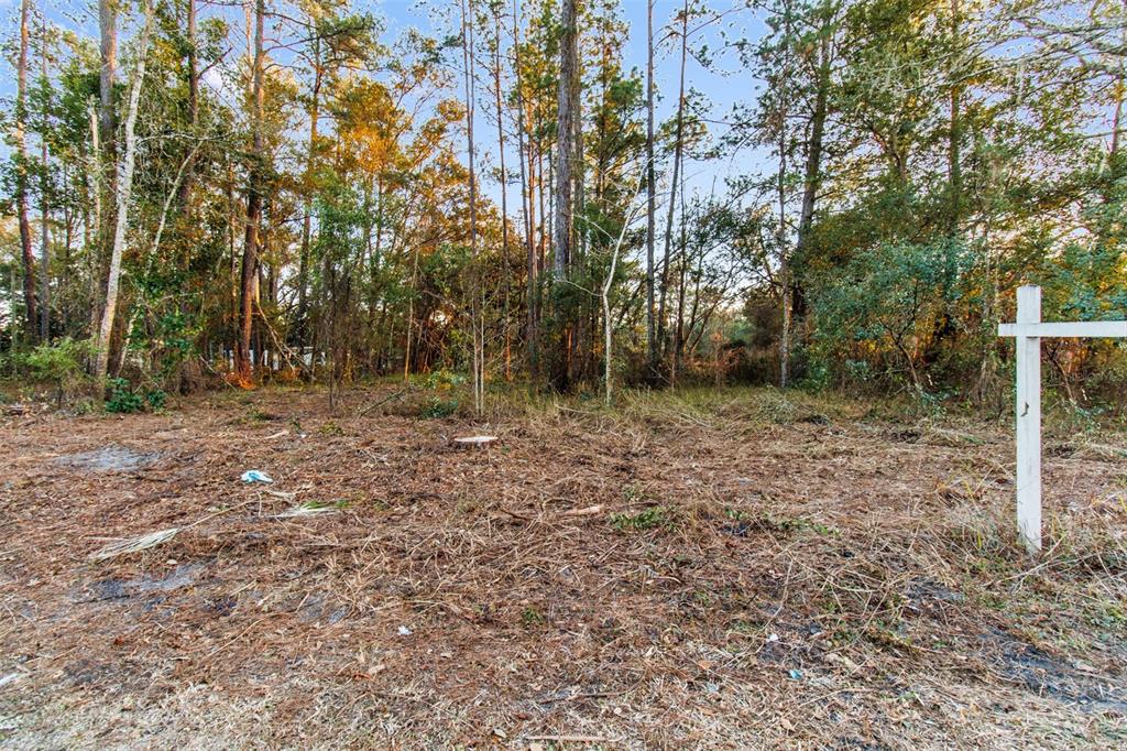 Powell Road Brooksville, FL 34604 - Photo 15 of 15 a backyard of a house with lots of green space