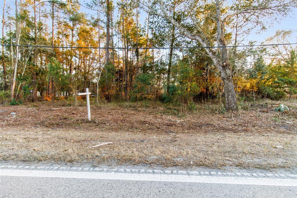 Powell Road Brooksville, FL 34604 - Photo 3 of 15 a backyard of a house with lots of green space
