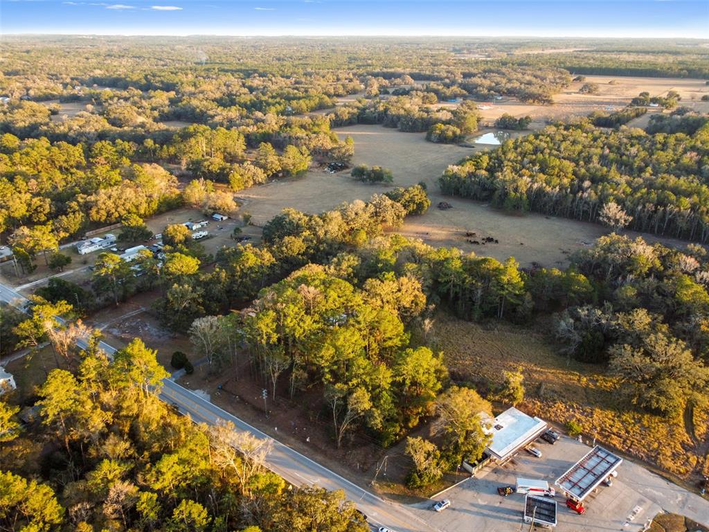 Powell Road Brooksville, FL 34604 - Photo 5 of 15