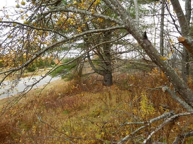 Lot 13-g West Bay Road Prospect Harbor, ME 04669 - Photo 14 of 20 Photo