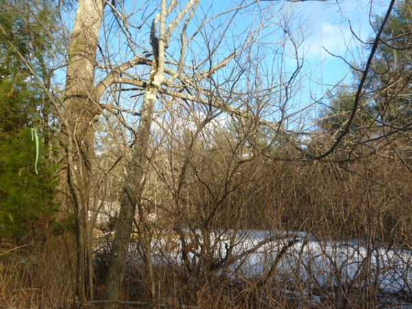 0 West Royalston Road Athol, MA 01331 - Photo 13 of 25 Gallery Image 13