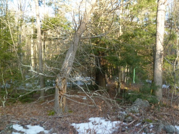0 West Royalston Road Athol, MA 01331 - Photo 23 of 25 Gallery Image 23