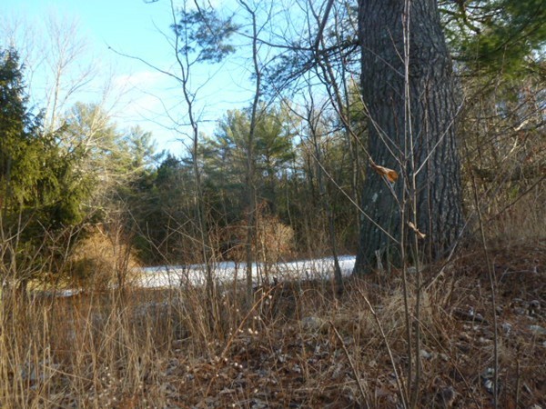 0 West Royalston Road Athol, MA 01331 - Photo 3 of 25 Gallery Image 3