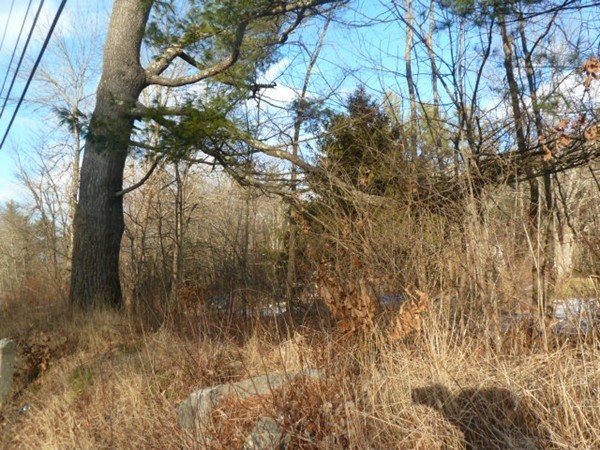 0 West Royalston Road Athol, MA 01331 - Photo 4 of 25 Gallery Image 4