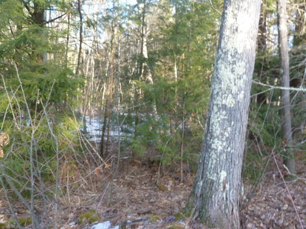 0 West Royalston Road Athol, MA 01331 - Photo 8 of 25 Gallery Image 8