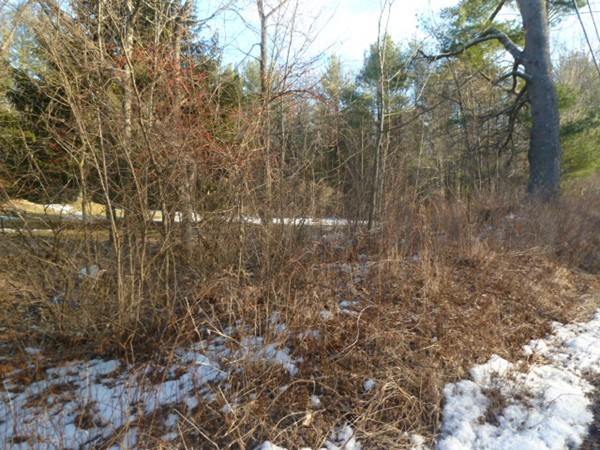 0 West Royalston Road Athol, MA 01331 - Photo 9 of 25 Gallery Image 9