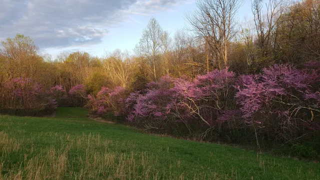 $2,100,000 | 11213 Yellow Bank Road, Laurel, IN 47024