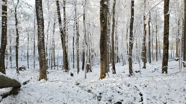 $2,100,000 | 11213 Yellow Bank Road, Laurel, IN 47024