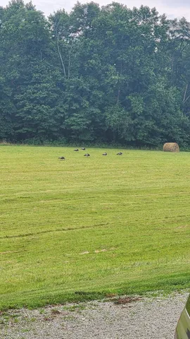 $2,100,000 | 11213 Yellow Bank Road, Laurel, IN 47024