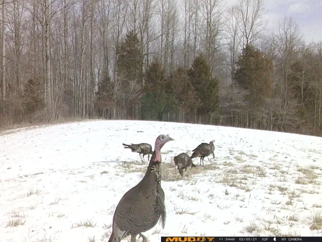 $2,100,000 | 11213 Yellow Bank Road, Laurel, IN 47024