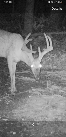 $2,100,000 | 11213 Yellow Bank Road, Laurel, IN 47024