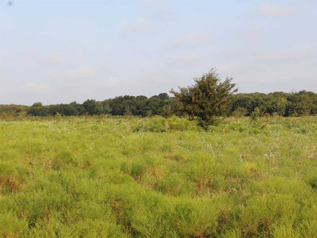 Tbd Lot 2 Tbd Road Ennis, TX 75119 - Photo 10 of 20