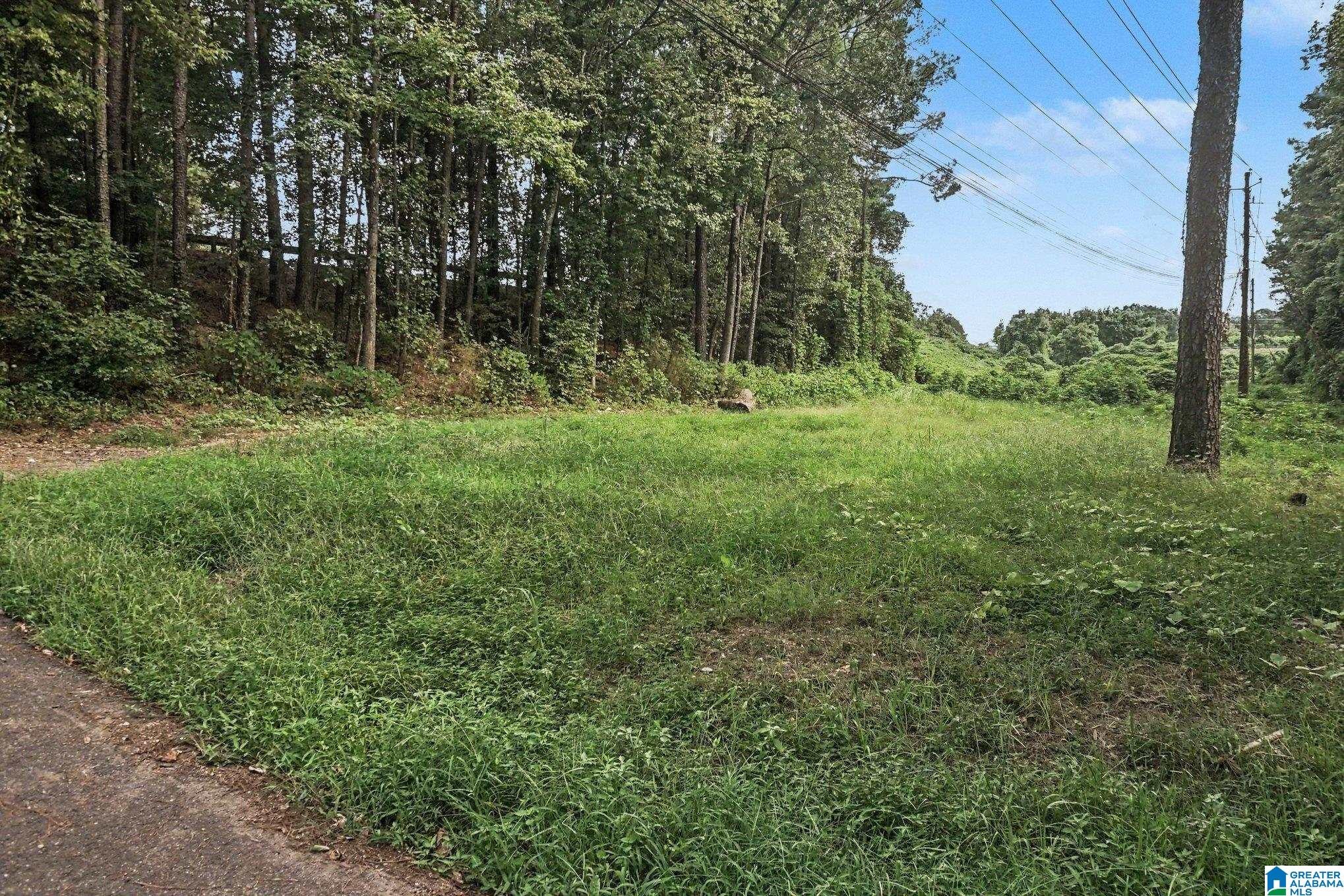 1556 Powder Plant Road, Unit 25 19S 05W Bessemer, AL 35022 - Photo 3 of 17 Gallery Image 3