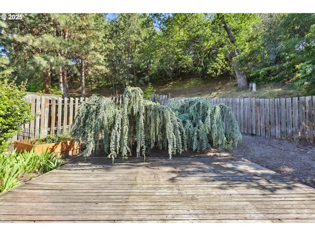 a view of outdoor space with deck and yard