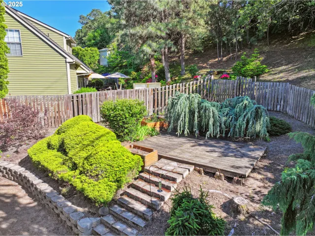 a view of a backyard with plants