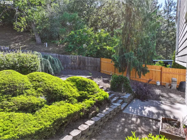 a view of a backyard with plants and large trees
