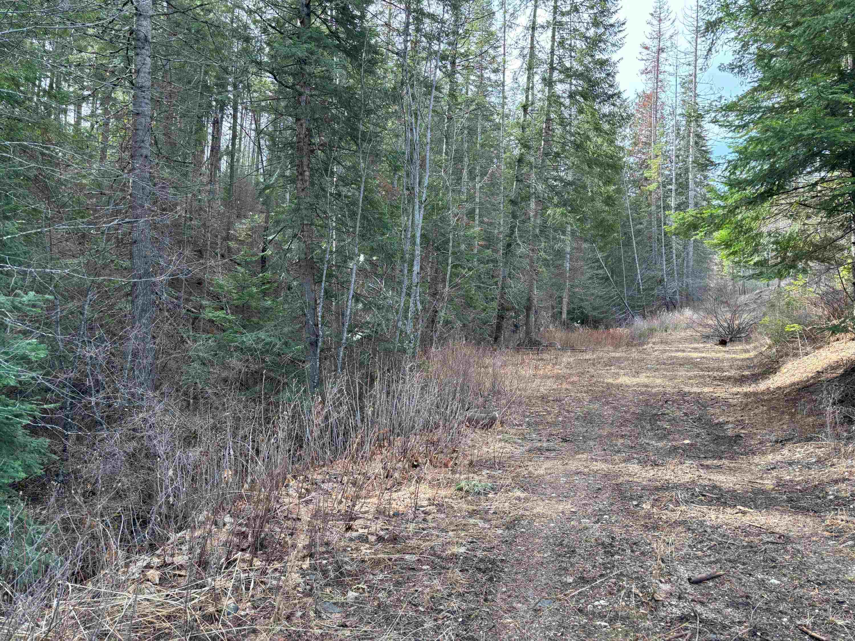 Lot 7 Rail Canyon Road Tumtum, WA 99034 - Photo 11 of 24 Gallery Image 11