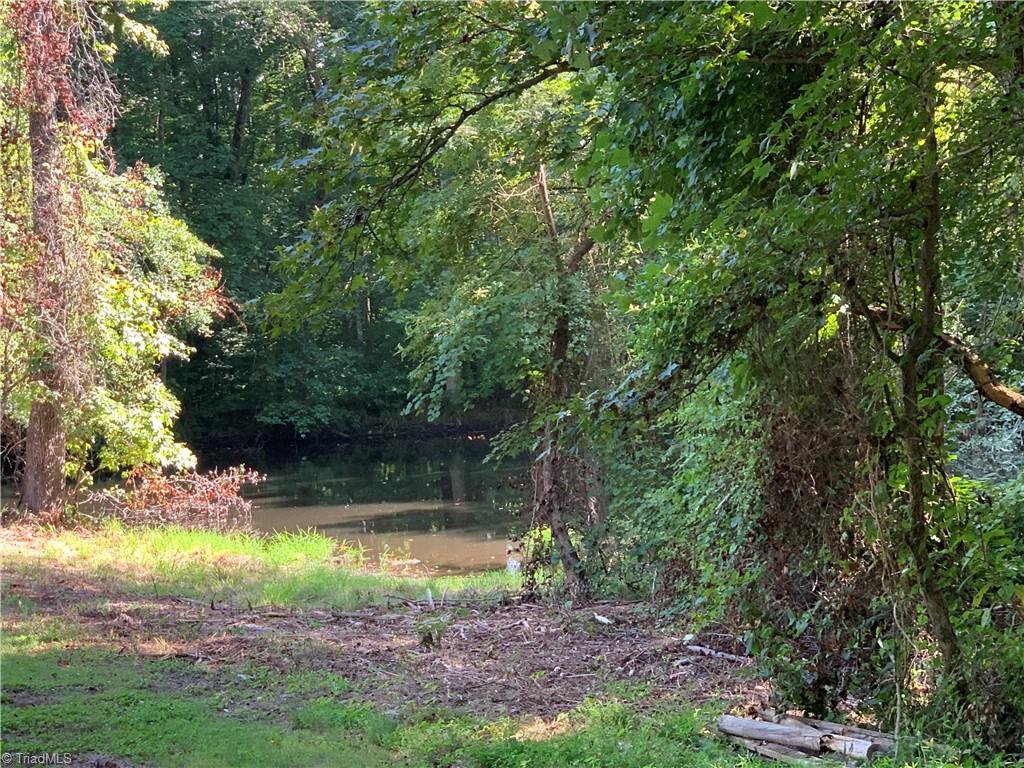 2003 Lick Fork Creek Road Ruffin, NC 27326 - Photo 2 of 21 Pond