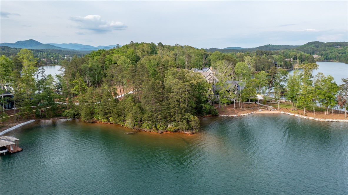 473 Peninsula Ridge Sunset, SC 29685 - Photo 3 of 9